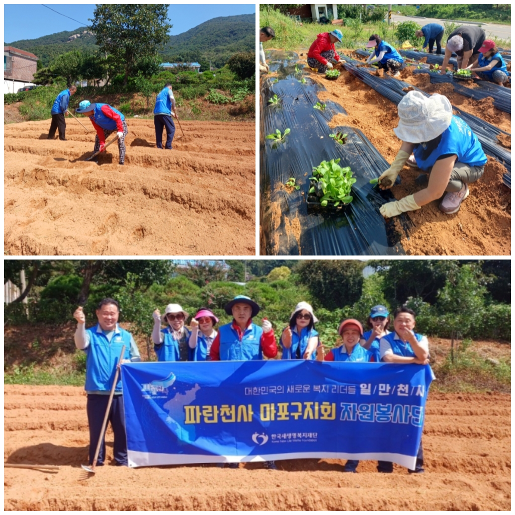 �����̹�������:layout 2023-9-13 (1).jpg